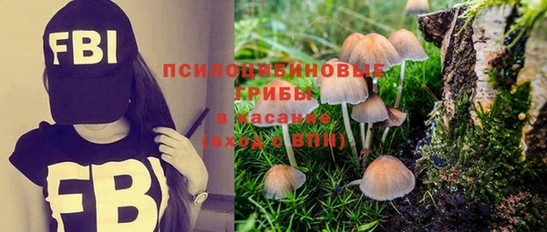 твердый Навашино