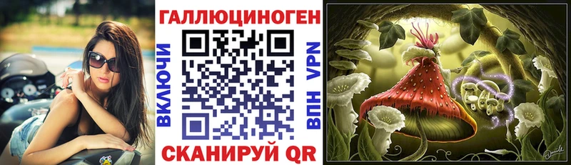 Галлюциногенные грибы GOLDEN TEACHER  Купить закладки  Ивантеевка 